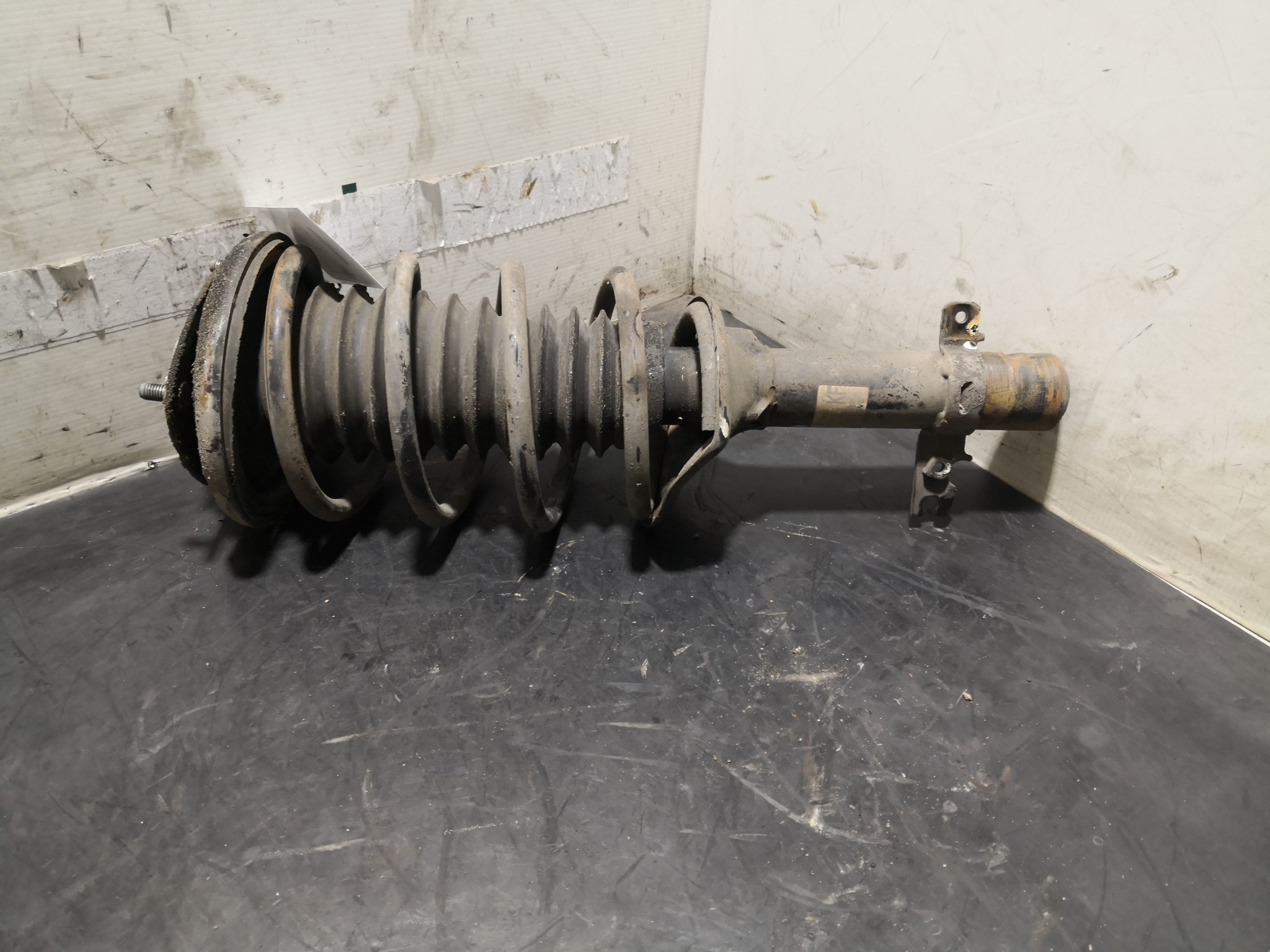 Amortecedor Frente Dto ROVER 25 Hatchback (RF) | 99 - 06 Imagem-1