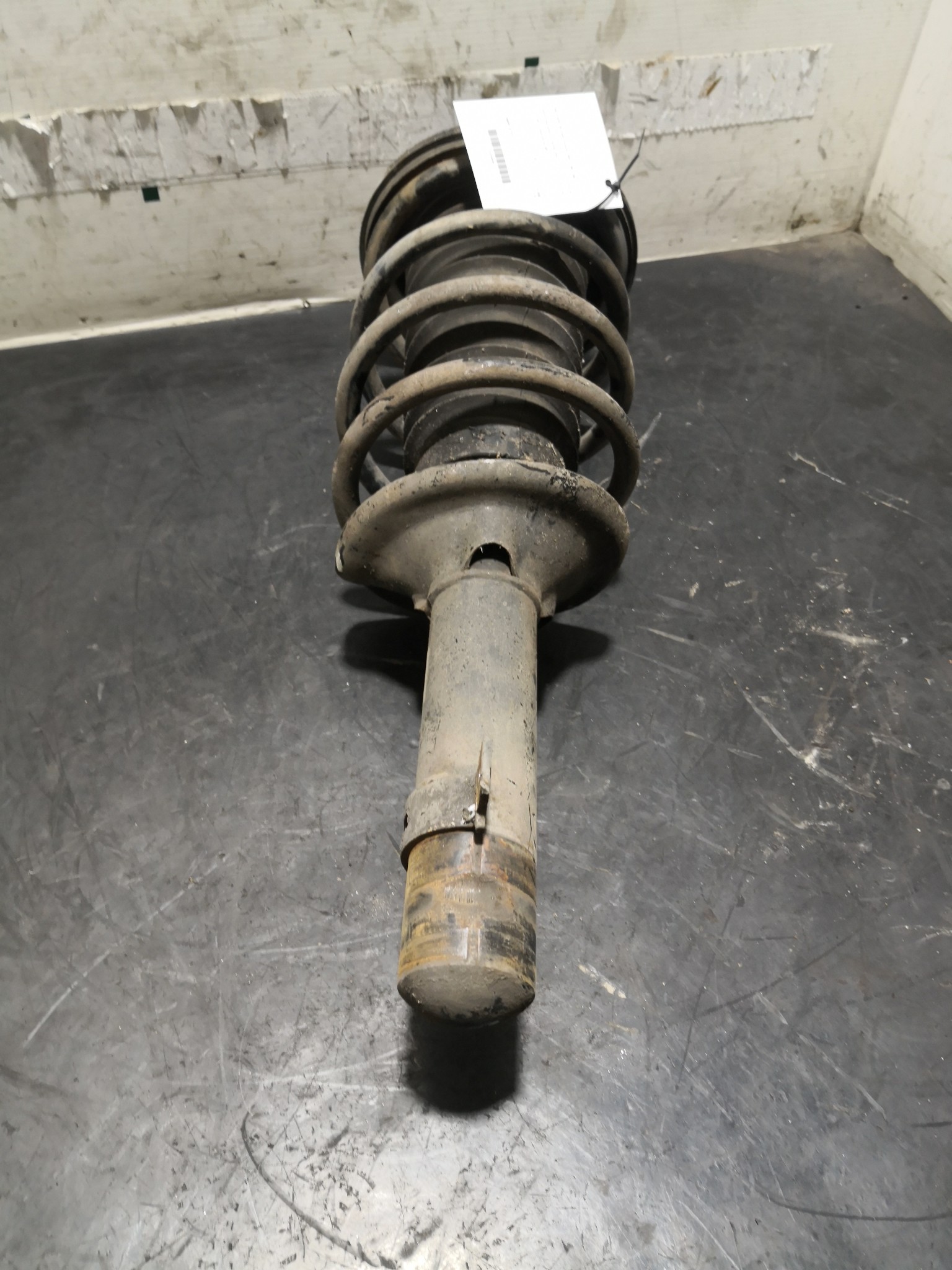 Amortecedor Frente Dto ROVER 25 Hatchback (RF) | 99 - 06 Imagem-2