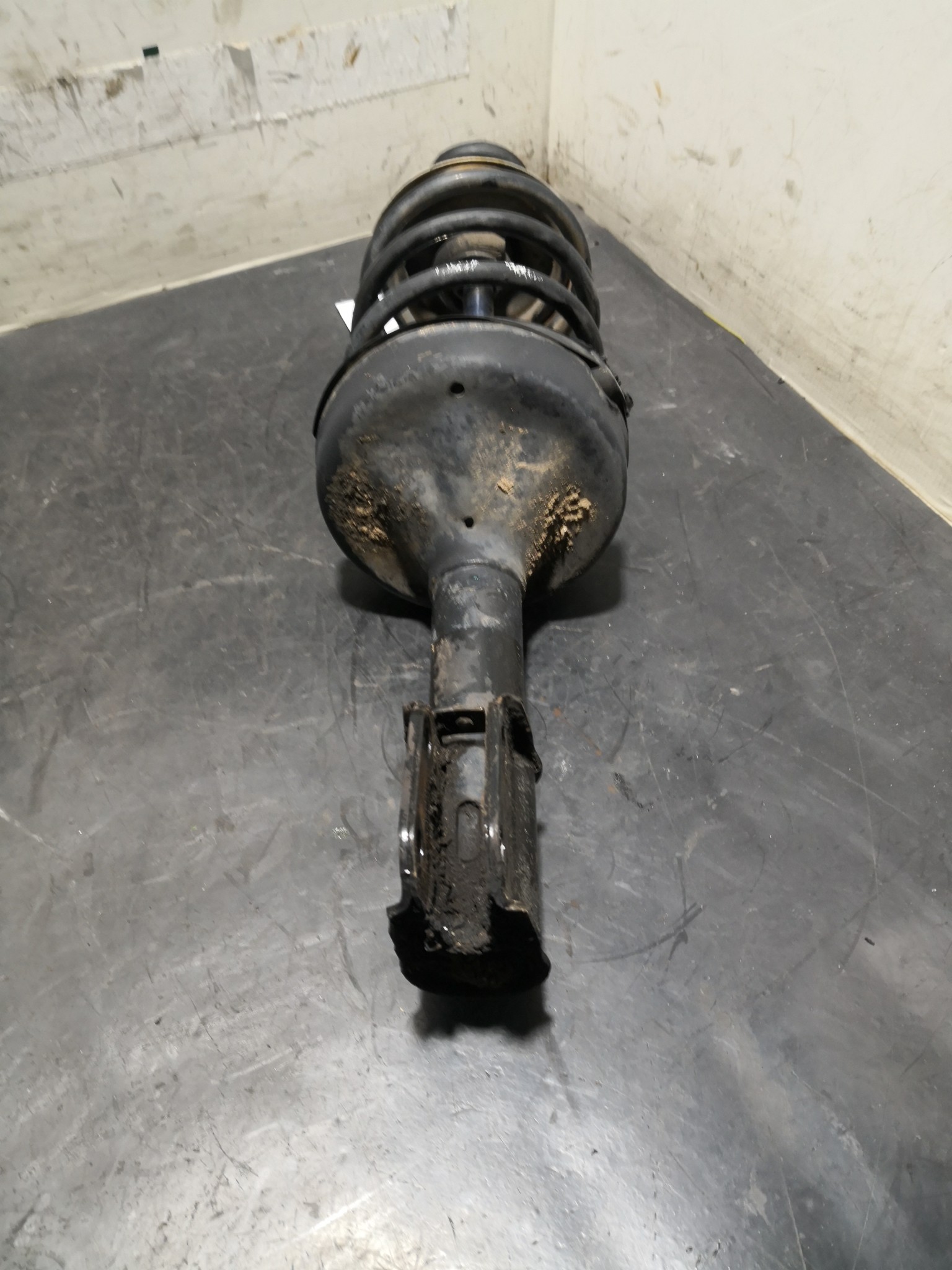 Amortecedor Frente Dto RENAULT CLIO II (BB_, CB_) | 98 -  Imagem-2