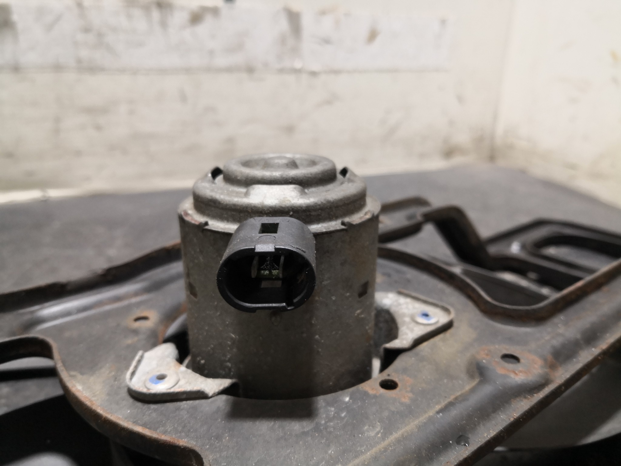 Termoventiladores RENAULT CLIO II (BB_, CB_) | 98 -  Imagem-3