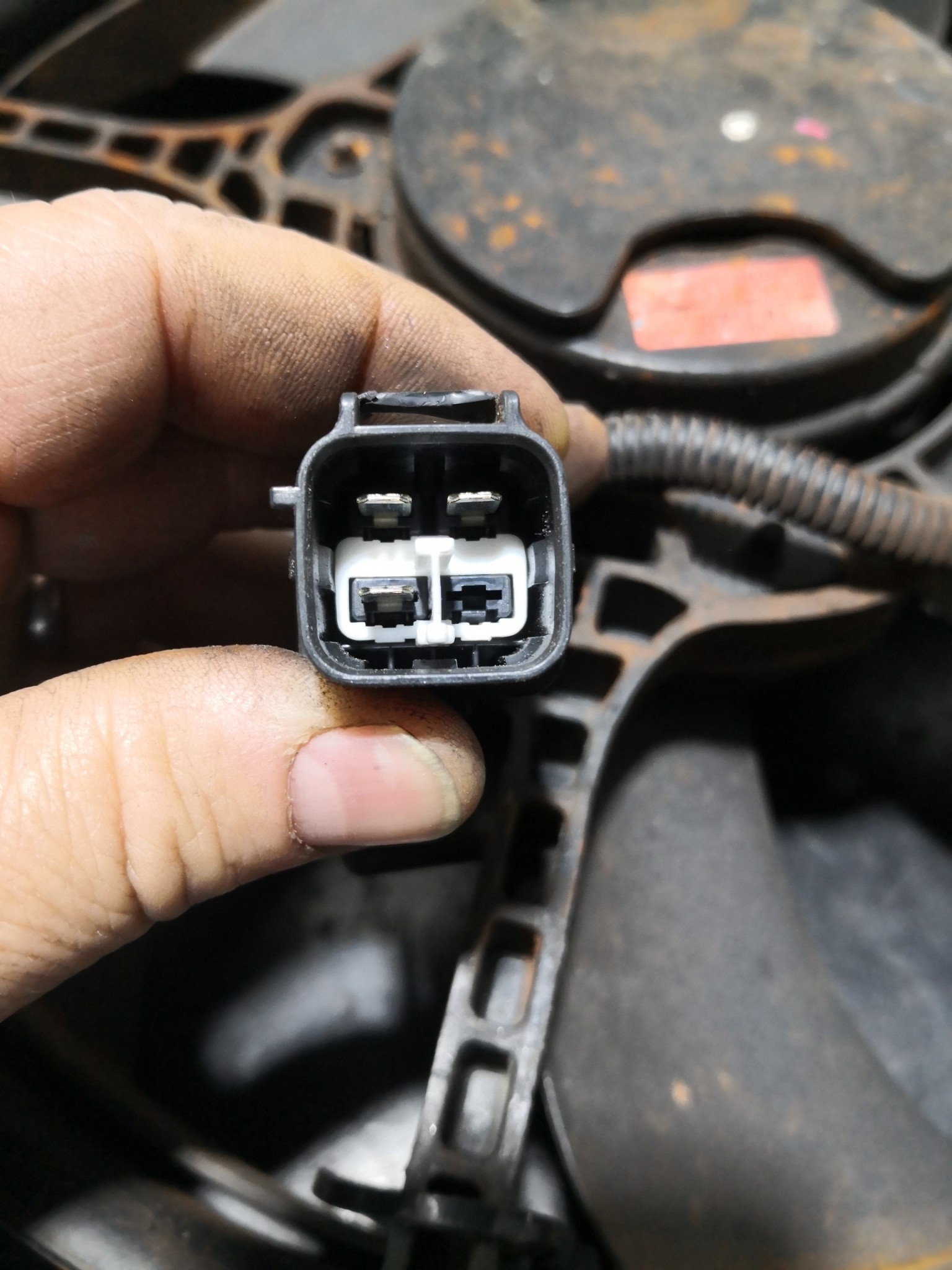 Termoventiladores HYUNDAI GETZ (TB) | 01 - 11 Imagem-1