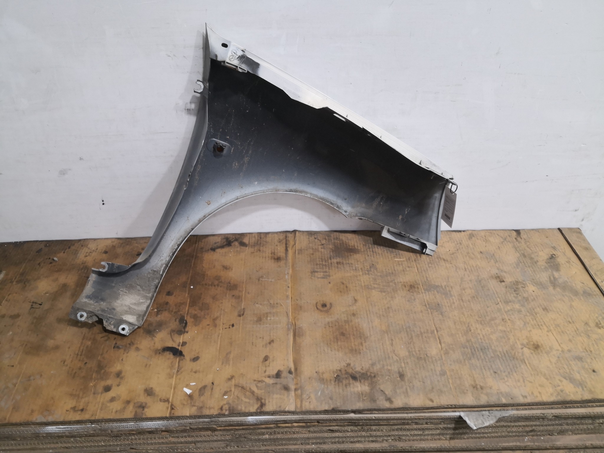 Guarda Lamas Esq RENAULT CLIO II (BB_, CB_) | 98 -  Imagem-3