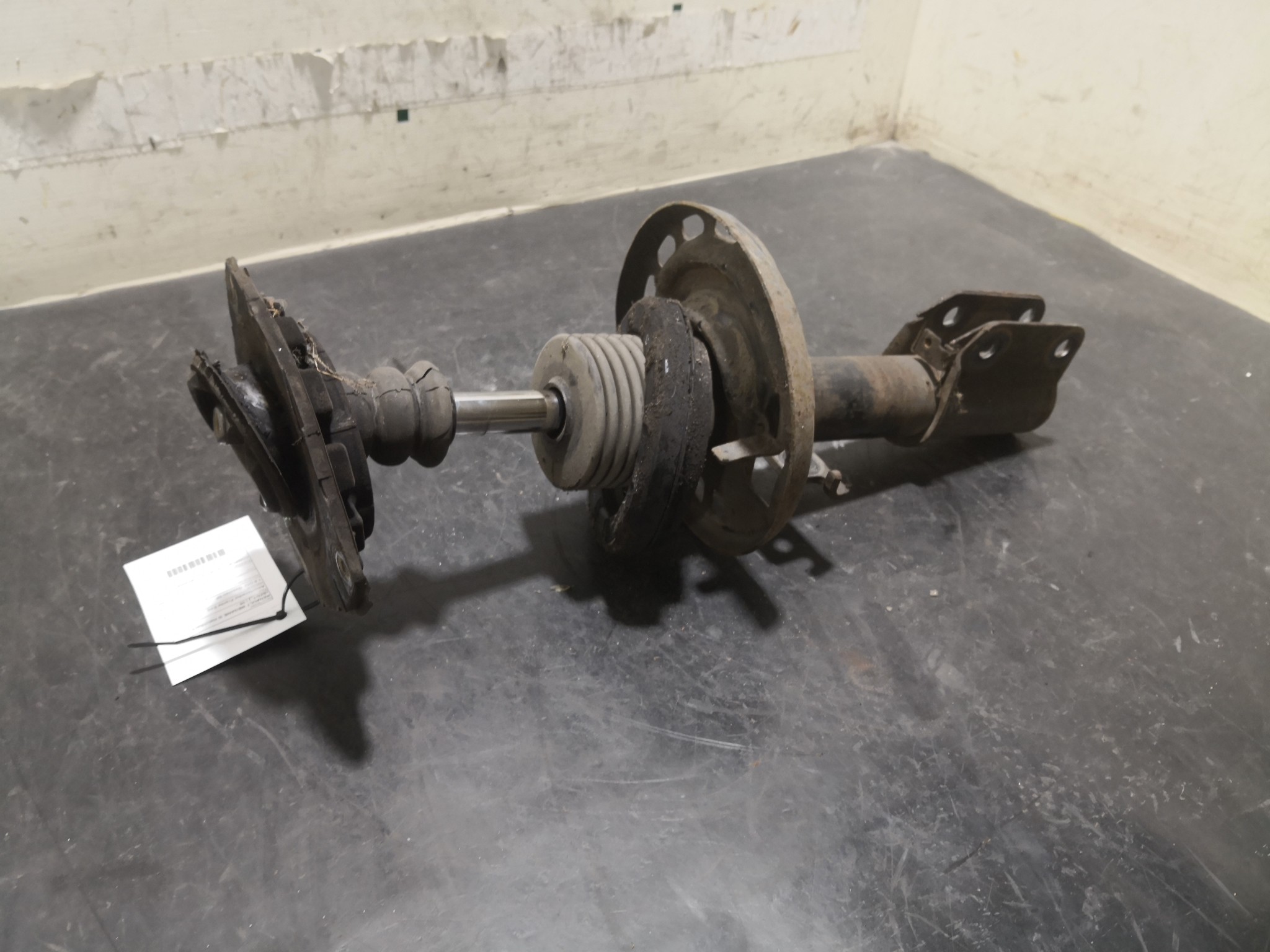 Amortecedor Frente Esq RENAULT MEGANE III Hatchback (BZ0/1_) | 08 -  Imagem-3