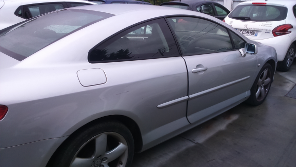 Porta Frente Direito (20190457).