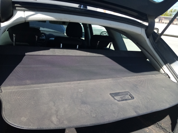 Chapeleira (20203114).