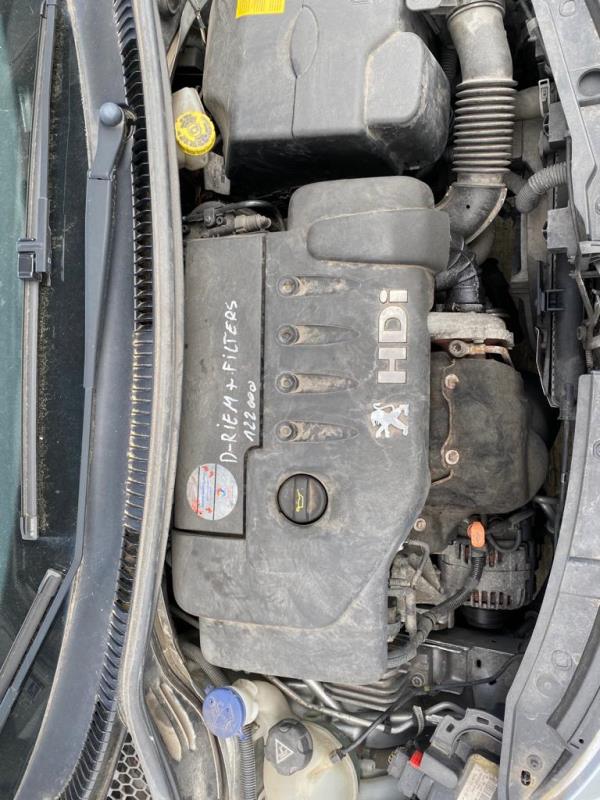 207  PEUGEOT - ID V_SALV20140109