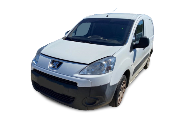 PARTNER Caixa  PEUGEOT - ID V_SALV20140127