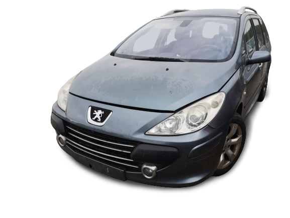 307 SW  PEUGEOT - ID V_SALV20140132