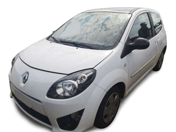 TWINGO II  RENAULT - ID V_SALV20140138