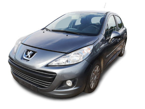 207  PEUGEOT - ID V_SALV20140151