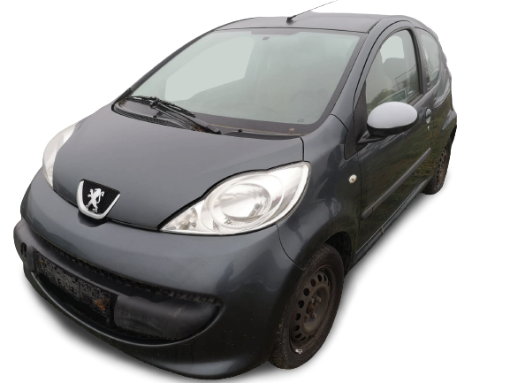 107  PEUGEOT - ID V_SALV20140175