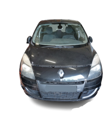 SCÉNIC III  RENAULT - ID V_SALV20140196