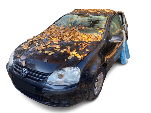 GOLF V  VOLKSWAGEN - ID V_SALV20140215