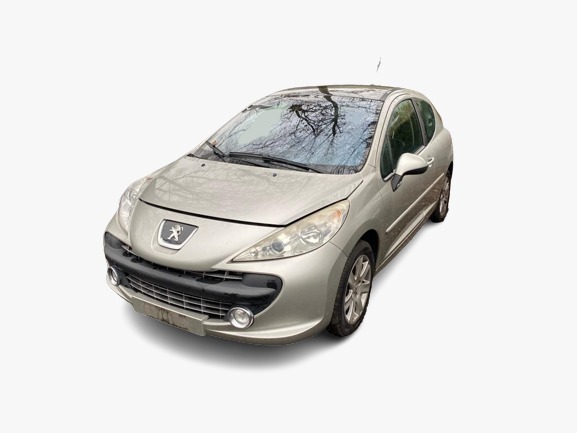 207  PEUGEOT - ID V_SALV20140216