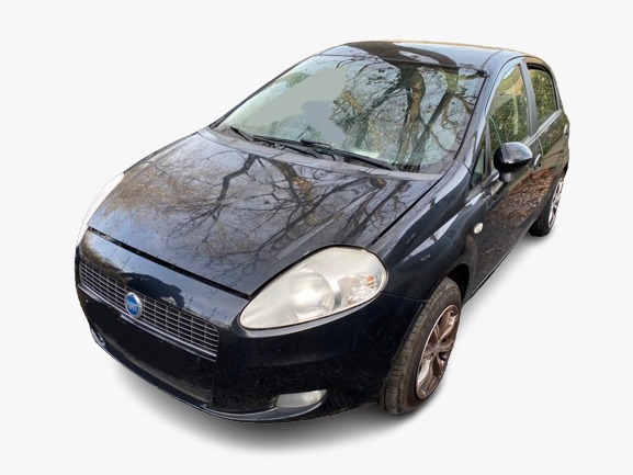 GRANDE PUNTO  FIAT - ID V_SALV20140220