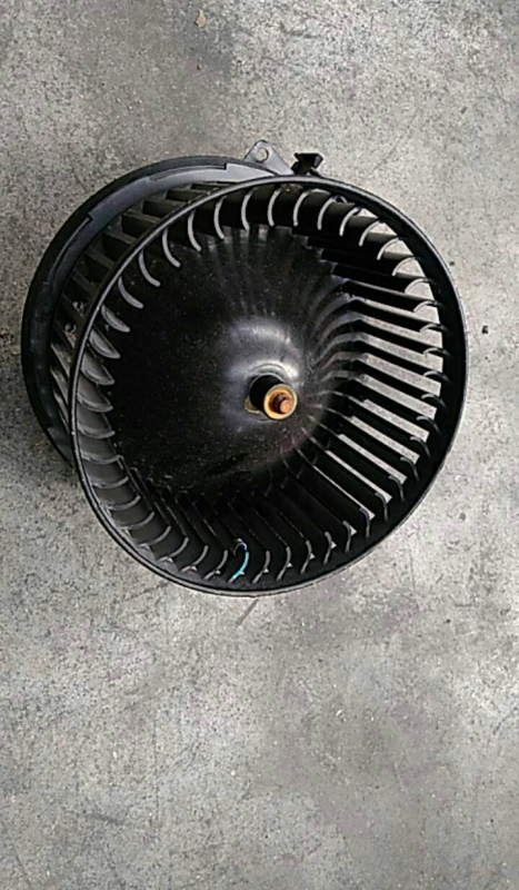 Motor de Chaufagem (20164198).