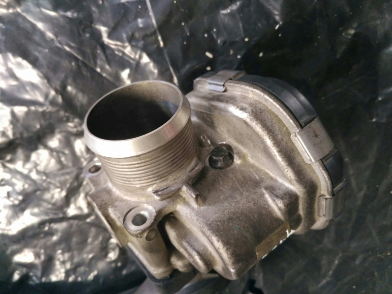 Corpo borboleta (20183364).