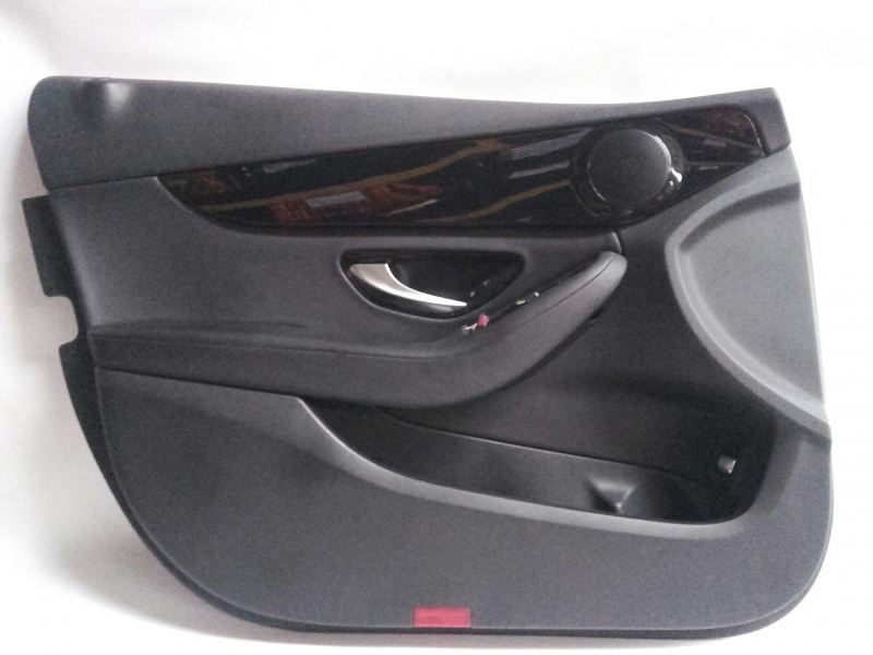 Forra Porta Frente Esquerda (20206053).