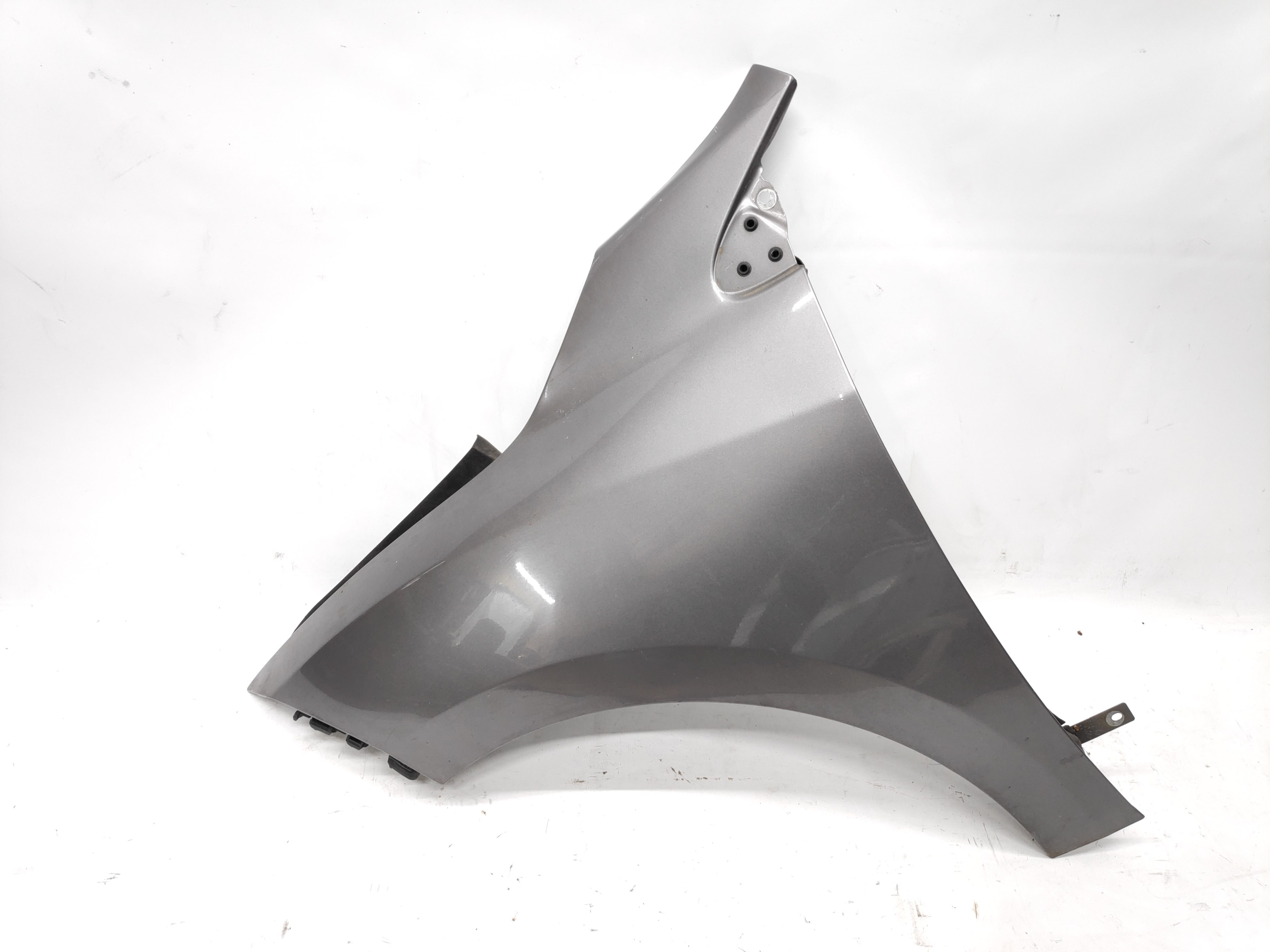 Guarda Lamas Frente Esquerdo RENAULT MEGANE III Hatchback (BZ0/1_) | 08 - 