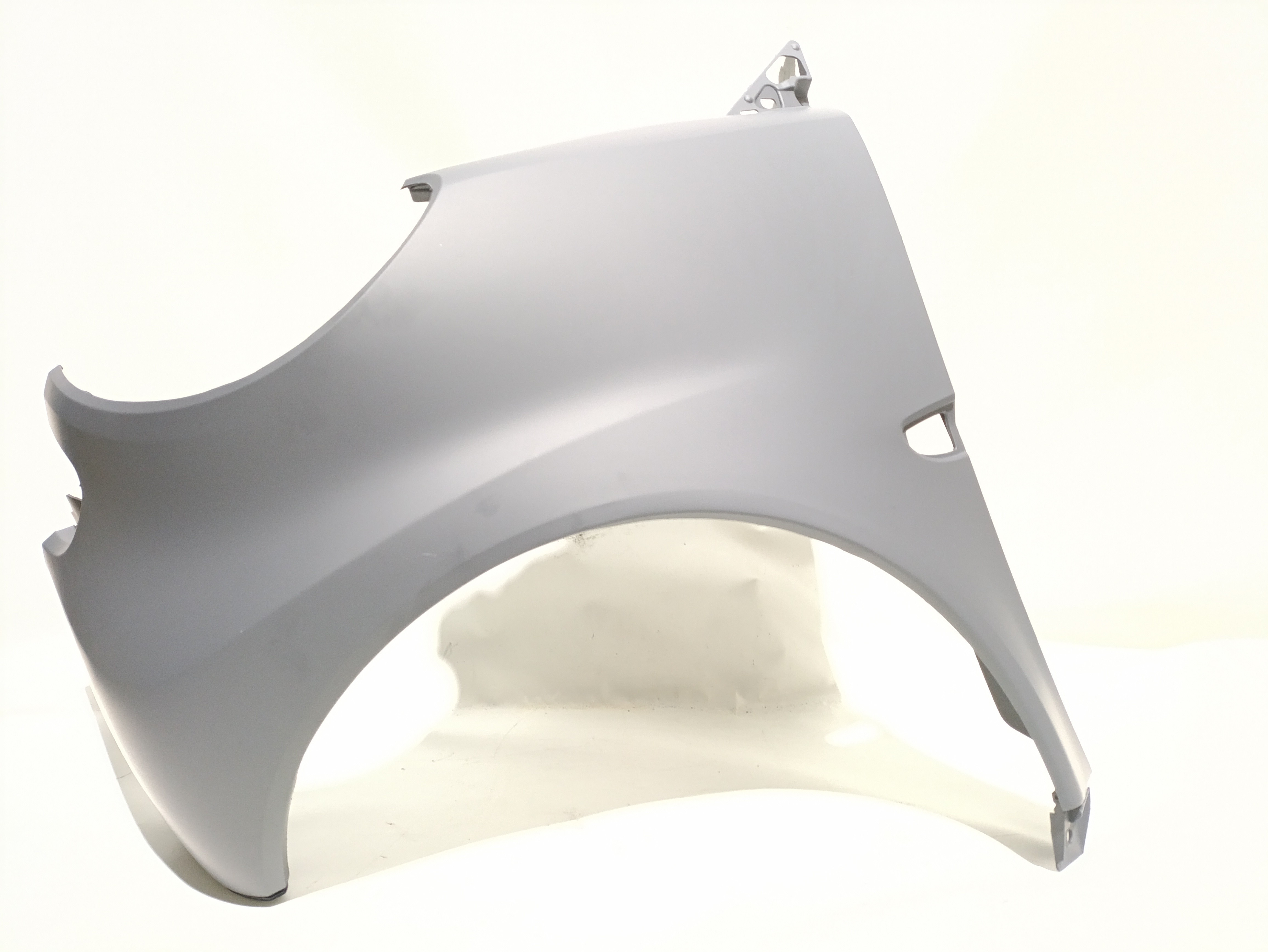 Guarda Lamas Frente Esquerdo SMART FORTWO Coupé (451) | 07 - 