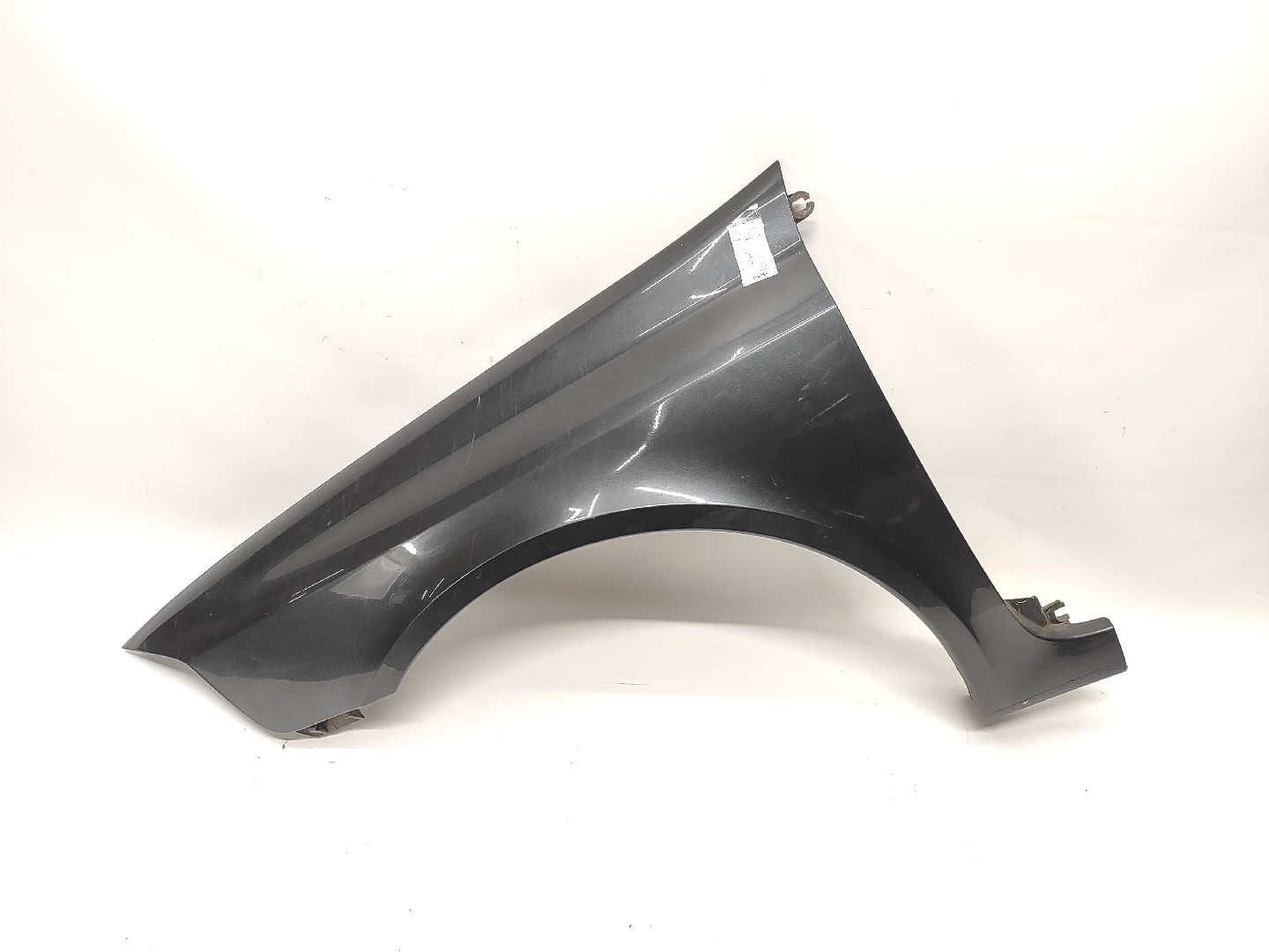 Guarda Lamas Frente Esquerdo RENAULT LAGUNA II (BG0/1_) | 01 - 07