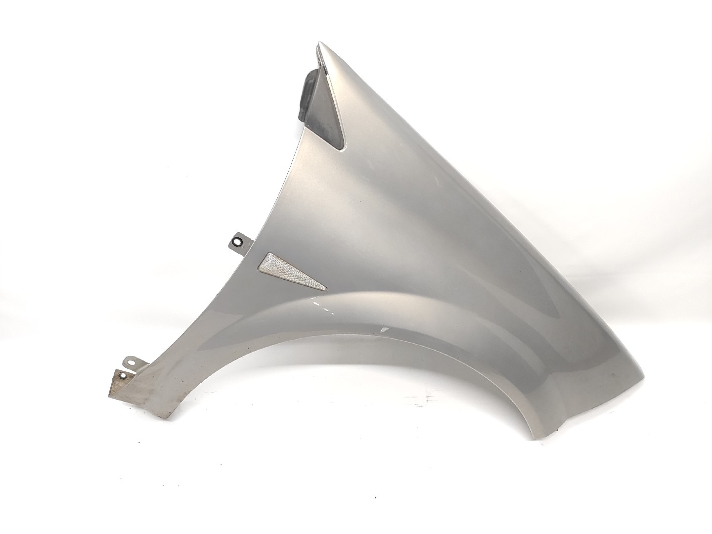Guarda Lamas Frente Direito RENAULT MEGANE II (BM0/1_, CM0/1_) | 01 - 12