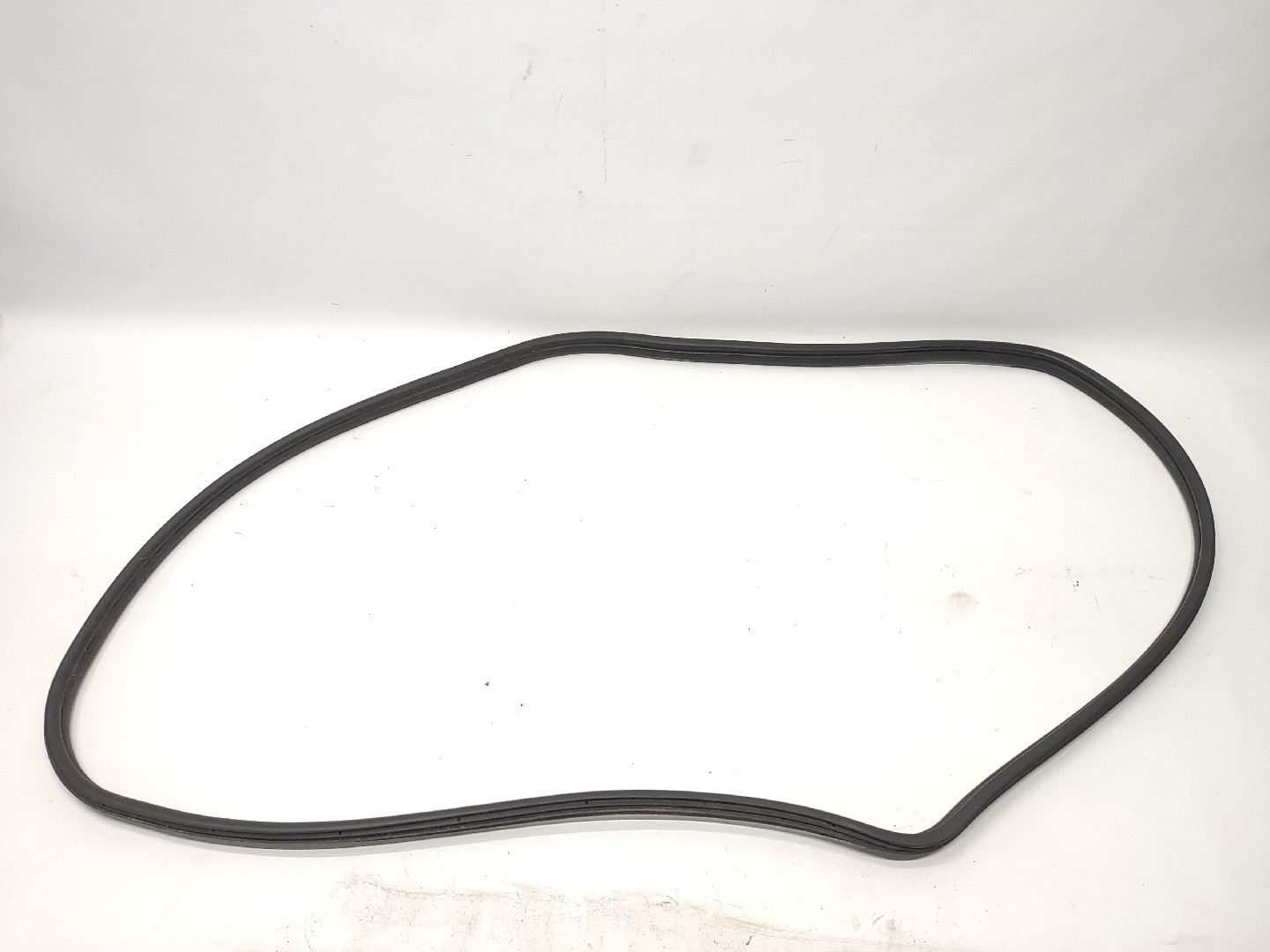 Borracha Porta Frente Esquerda FIAT GRANDE PUNTO (199_) | 05 - 