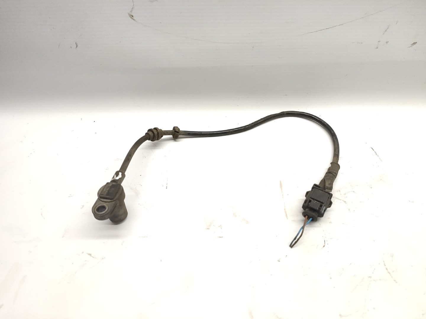 Sensor ABS Frente Esquerdo OPEL CORSA C (X01) | 00 - 09