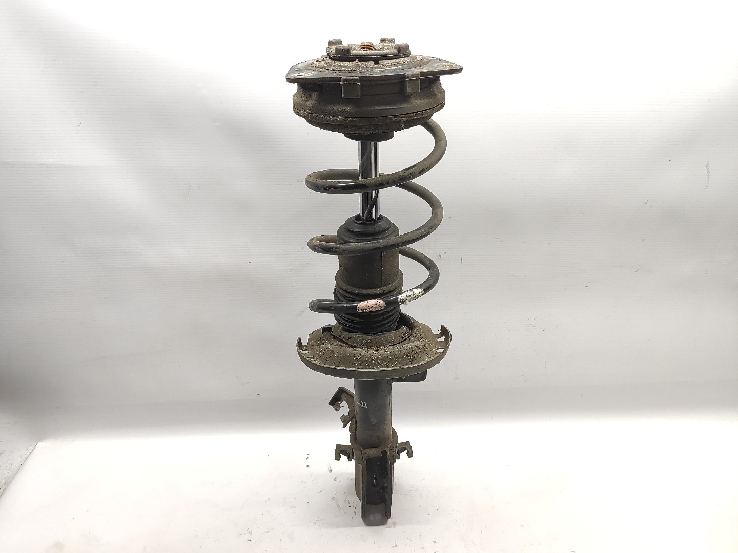 Amortecedor Frente Esquerdo NISSAN MICRA III (K12) | 02 - 10