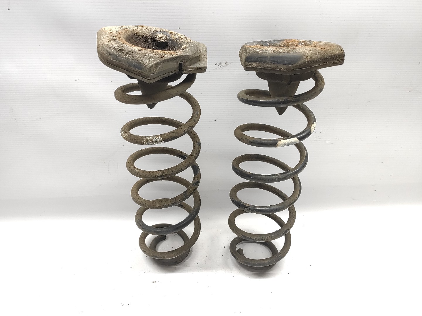 Mola Suspensao Tras RENAULT MEGANE III Hatchback (BZ0/1_) | 08 - 