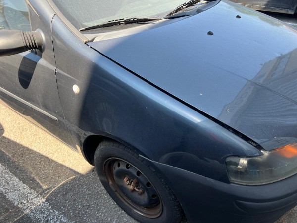 Guarda Lamas Frente Direito FIAT PUNTO (188_) | 99 - 12