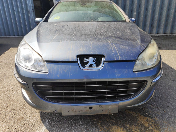 Frente Completa PEUGEOT 407 (6D_) | 04 - 11