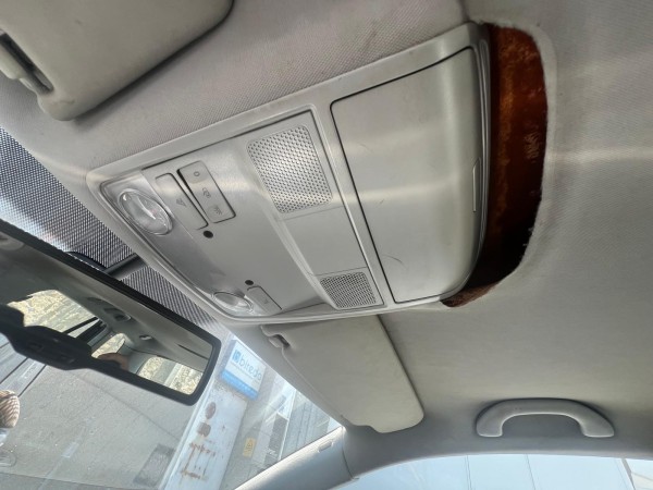 Soffitto VOLKSWAGEN GOLF V Variant (1K5) | 07 - 09