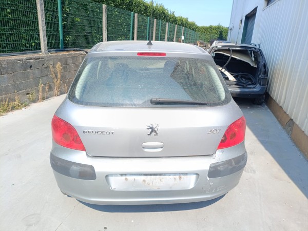 Coffre PEUGEOT 307 (3A/C) | 00 - 12