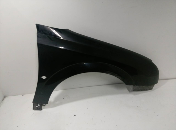 Guarda Lamas Frente Direito (425239).