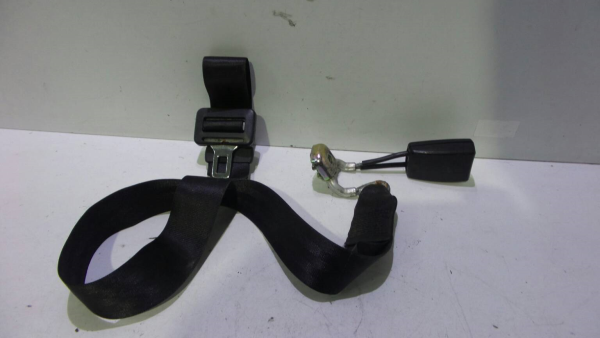 Cinto Tras Central (425817).