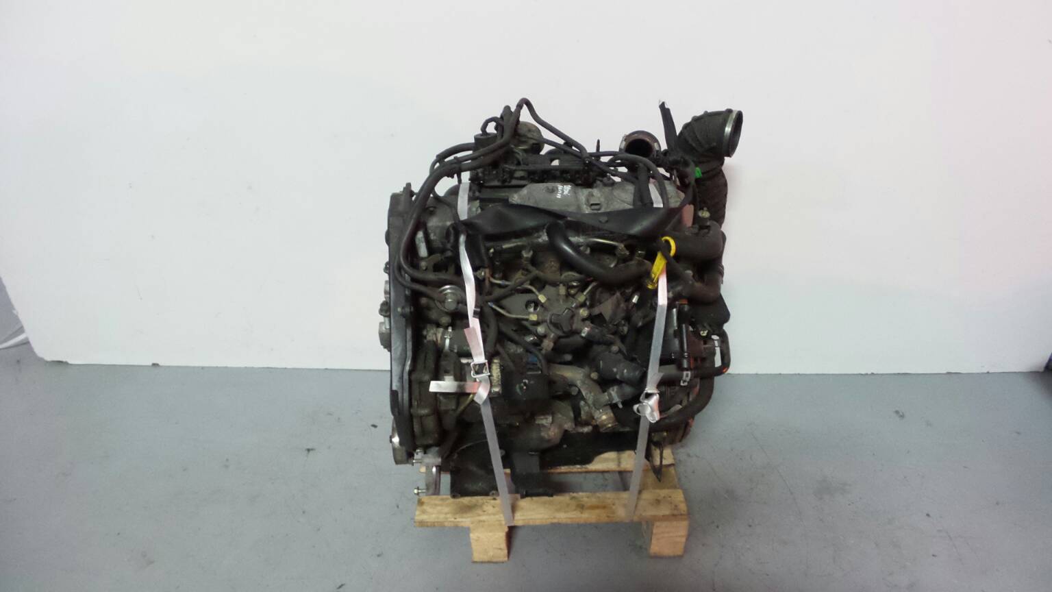 Motor Completo S/Acessorios FORD FOCUS (DAW, DBW) | 98 - 09