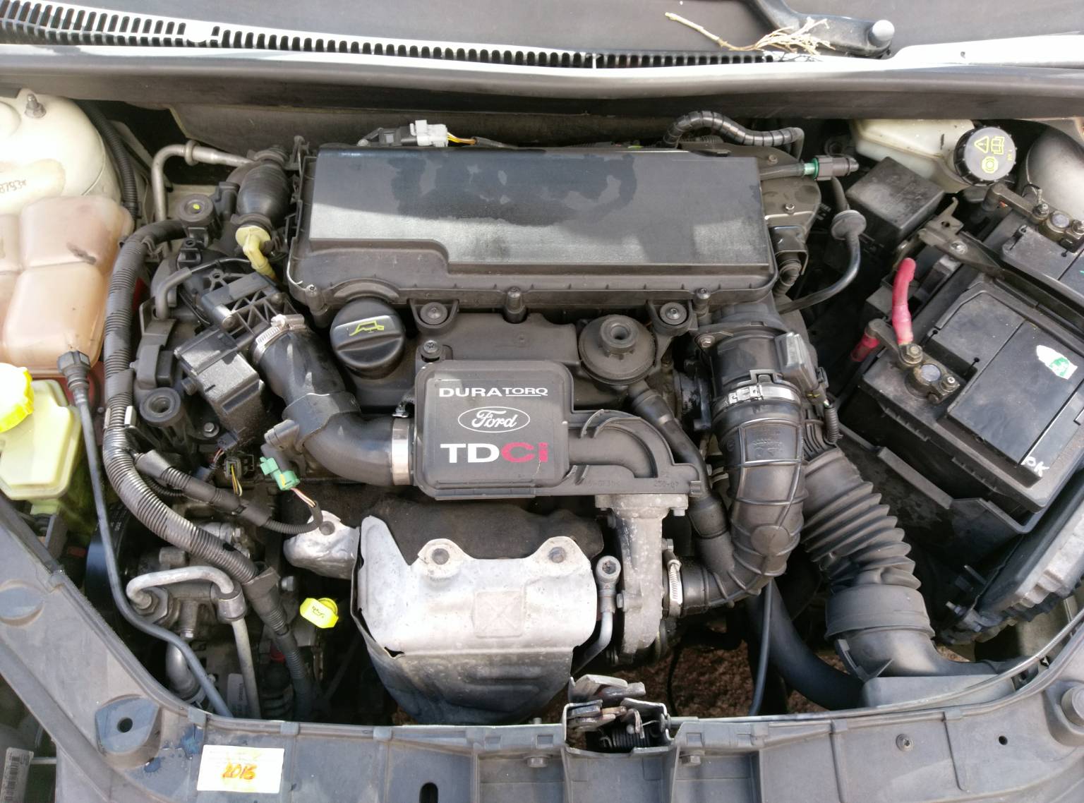 Peças Motor FORD FIESTA V (JH_, JD_) | 01 - 14