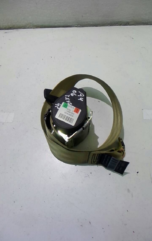 Cinto Tras Esquerdo (423447).