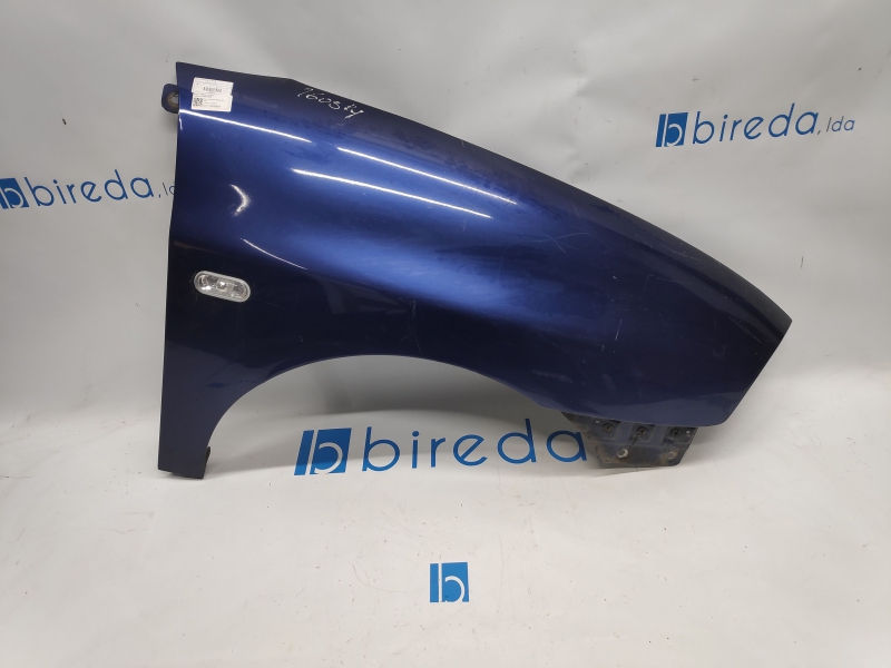 Guarda Lamas Frente Direito (425574).