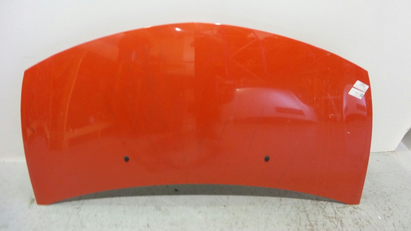 Capot RENAULT CLIO III (BR0/1, CR0/1) | 05 - 