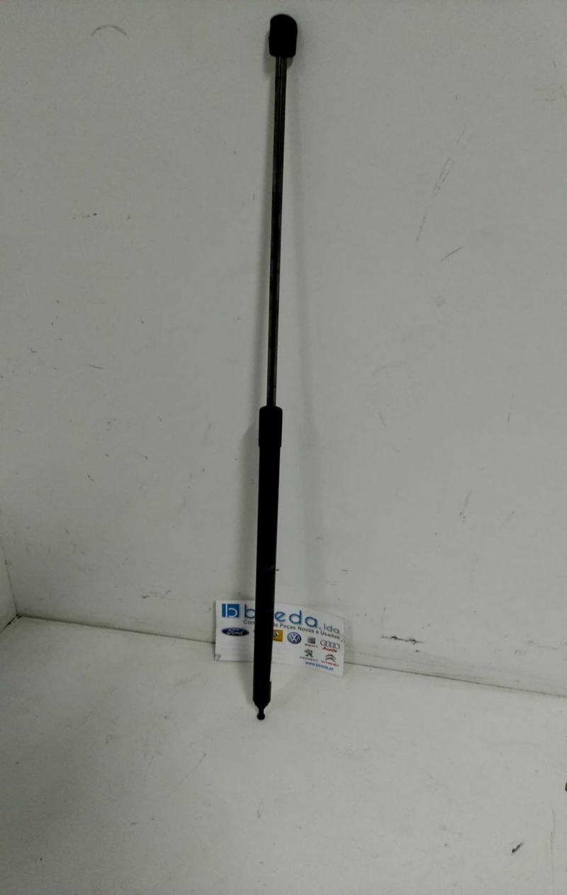 Amortecedor de Capot RENAULT MEGANE III Hatchback (BZ0/1_) | 08 - 