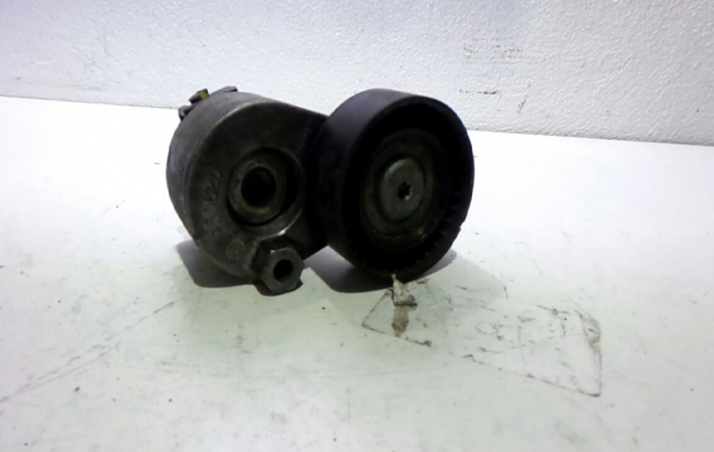 Tensor de Correia RENAULT MEGANE II (BM0/1_, CM0/1_) | 01 - 12