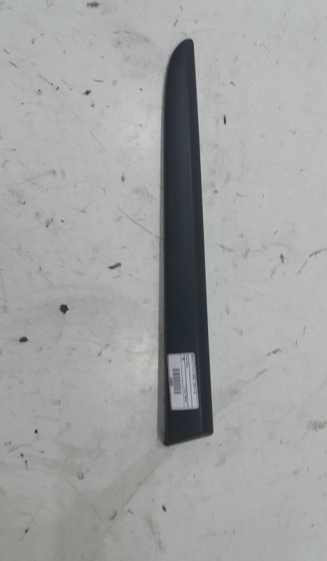 Friso Painel Direito RENAULT CLIO III (BR0/1, CR0/1) | 05 - 