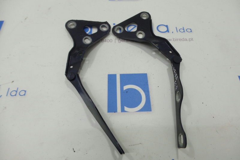 Conjunto Dobradiças Capot (437038).