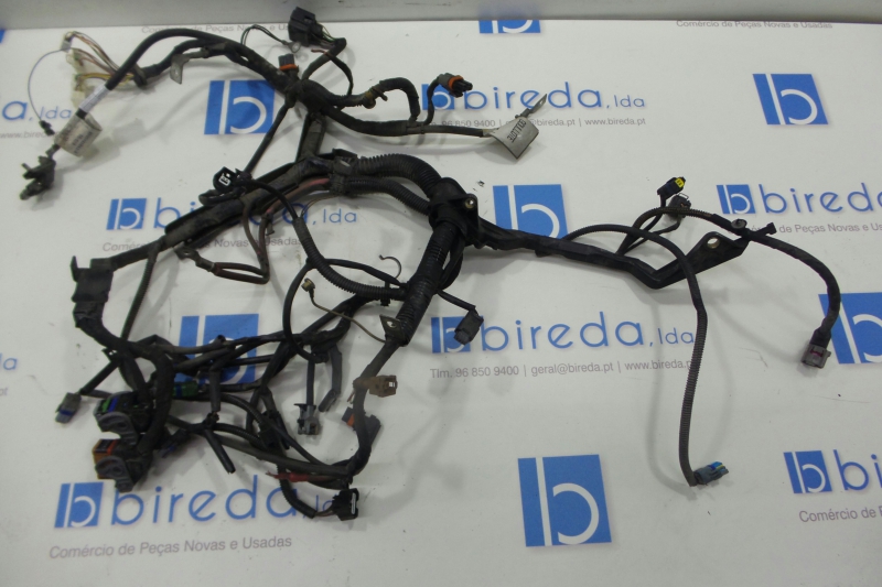 Instalaçao Electrica do Motor RENAULT CLIO III (BR0/1, CR0/1) | 05 - 