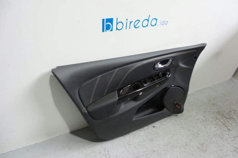 Left Front Door Panel RENAULT CLIO IV - Bireda