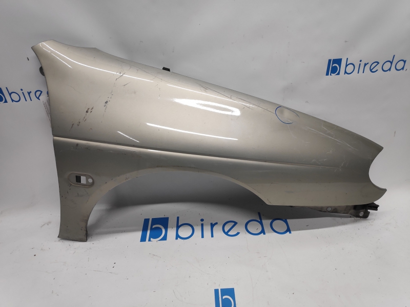 Guarda Lamas Frente Direito RENAULT MEGANE I (BA0/1_) | 95 - 04