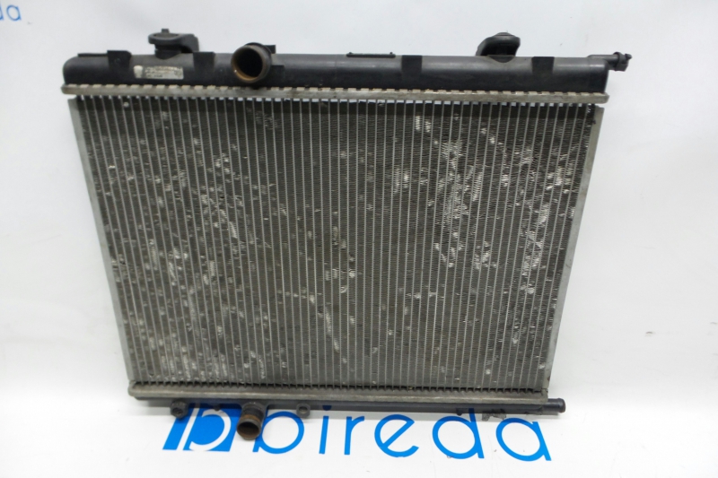 Radiador da água (440803).