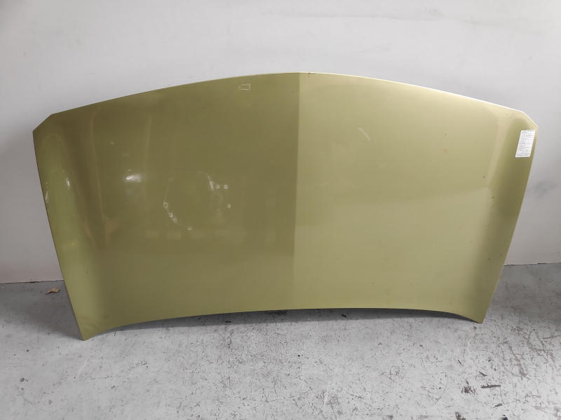 Capot RENAULT MEGANE II (BM0/1_, CM0/1_) | 01 - 12